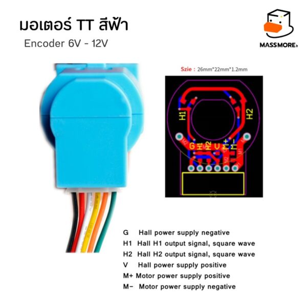 TT Motor Encoder มอเตอร์สีฟ้า พร้อมเซ็นเซอร์นับรอบความเร็ว - Image 7