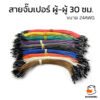 สายจั๊มเปอร์อย่างดี Jumper wire ยาว30 ซม. ตัวผู้-ตัวผู้ ขนาด 24AWG ทดลองวงจรอิเล็กทรอนิกส์